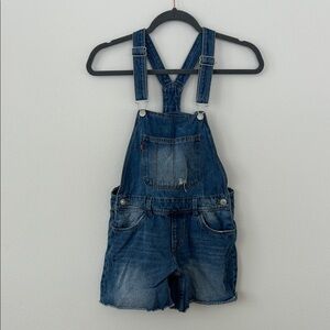 Levi's Classic Blue Kids Overalls